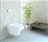 توالت فرنگی دیواری گلسار فارس مدل هلیا